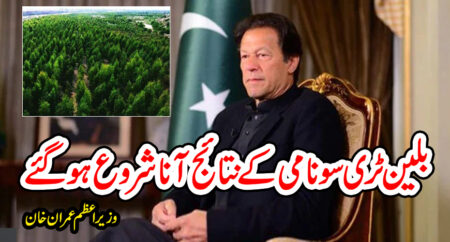 بلین ٹری سونامی کے نتائج آنا شروع ہو گئے وزیراعظم عمران خان ‎