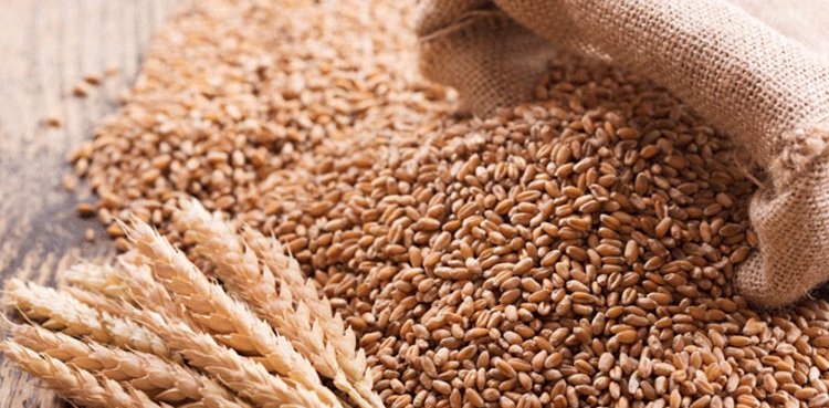 گندم کی سرکاری قیمت مقرر، نوٹی فکیشن جاری