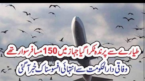 طیارے سے پرندہ ٹکرا گیاجہاز میں 150مسافر سوار تھے،وفاقی دارالحکومت سے انتہائی افسوسناک خبرآگئی – The News 100