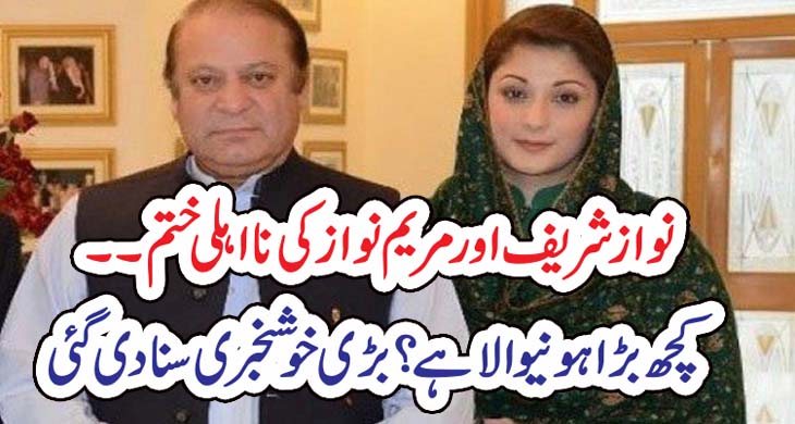 نواز شریف اور مریم نواز کی نا اہلی ختم۔۔کچھ بڑا ہونیوالا ہے؟ بڑی خوشخبری سنا دی گئی – Today Newztv