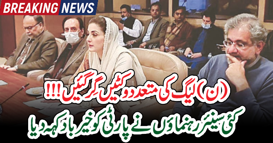 (ن)لیگ کی متعدد وکٹیں گِر گئیں!!! کئی سینئر رہنماؤں نے پارٹی کو خیر باد کہہ دیا